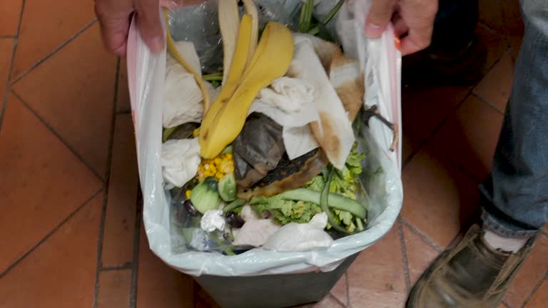 Best Dumpster Rental Services  in Jena, LA